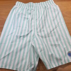 Nwt Boys Size 7 Laguna Mint Striped Kids Swim Trunks